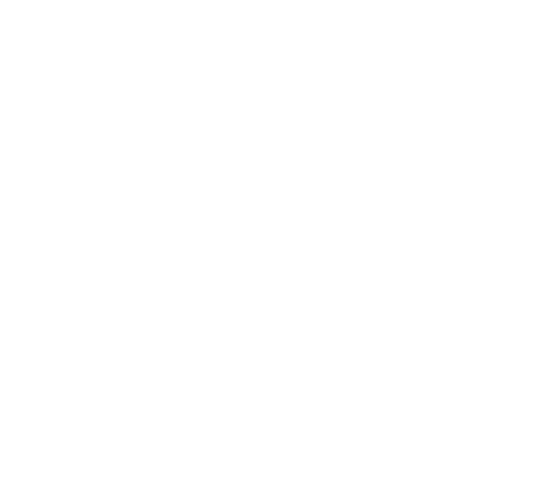 Metropol AVM